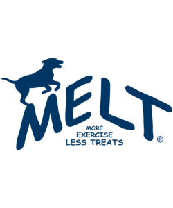 MELT logo blue R small pixel